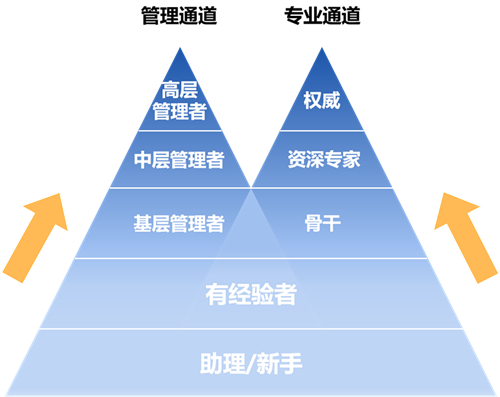 晋升双通道发展机制_副本.png 晋升双通道发展机制_副本.png